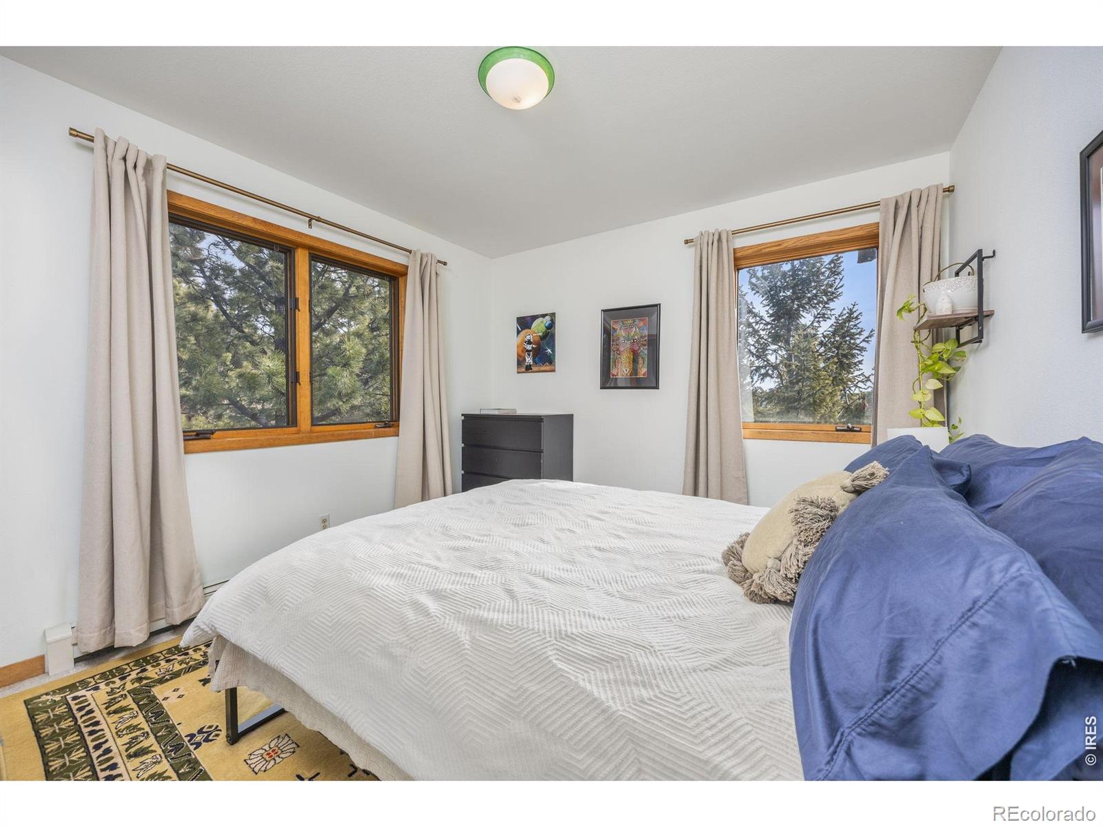 MLS Image #26 for 14  sundown trail,nederland, Colorado