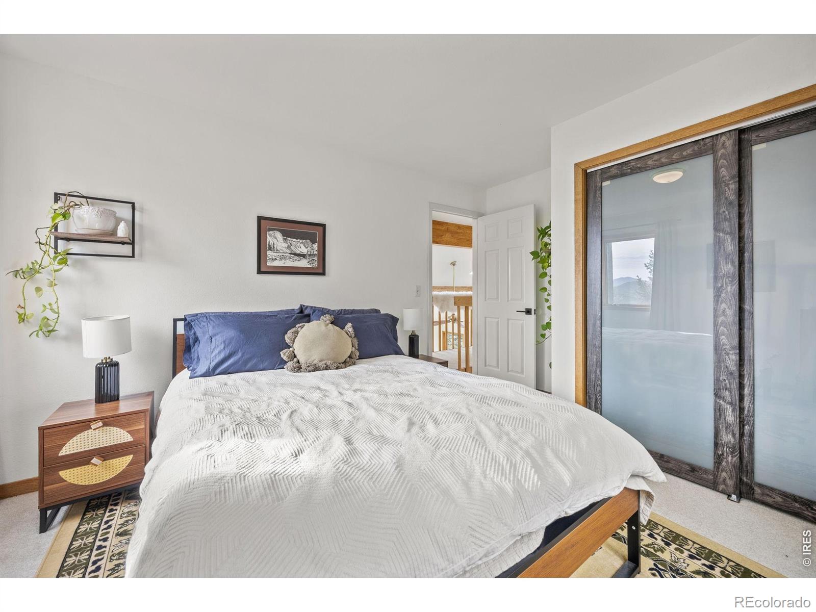 MLS Image #27 for 14  sundown trail,nederland, Colorado