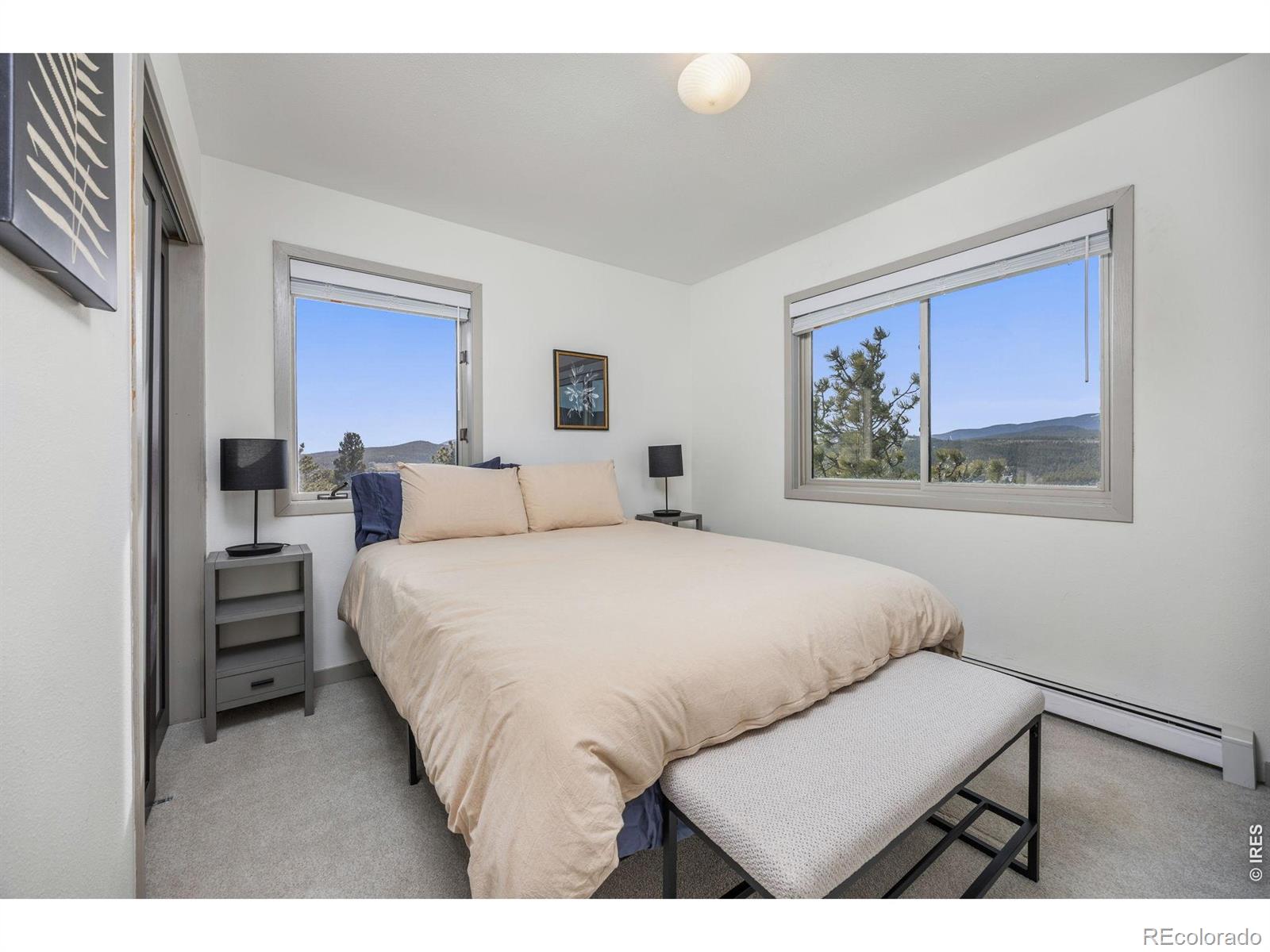 MLS Image #29 for 14  sundown trail,nederland, Colorado
