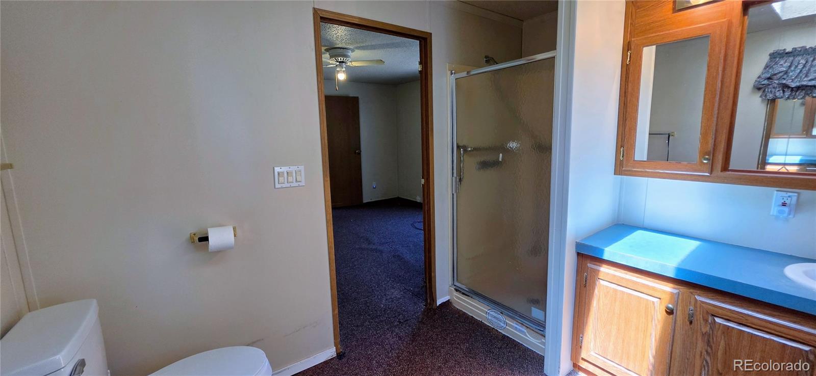 MLS Image #13 for 828  3rd street,penrose, Colorado