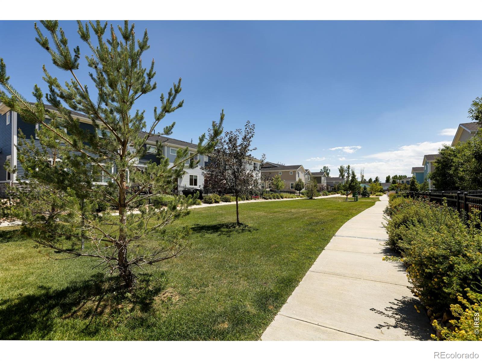 MLS Image #29 for 610  stonebridge drive,longmont, Colorado