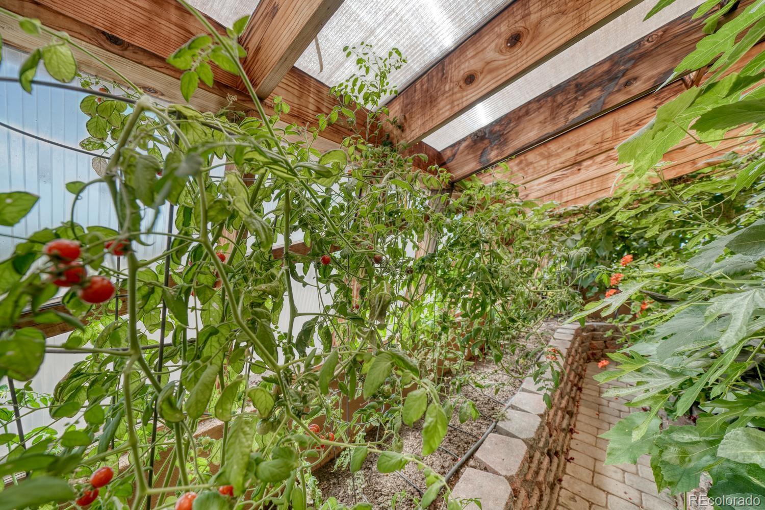 MLS Image #22 for 1316  whispering winds trail,crestone, Colorado