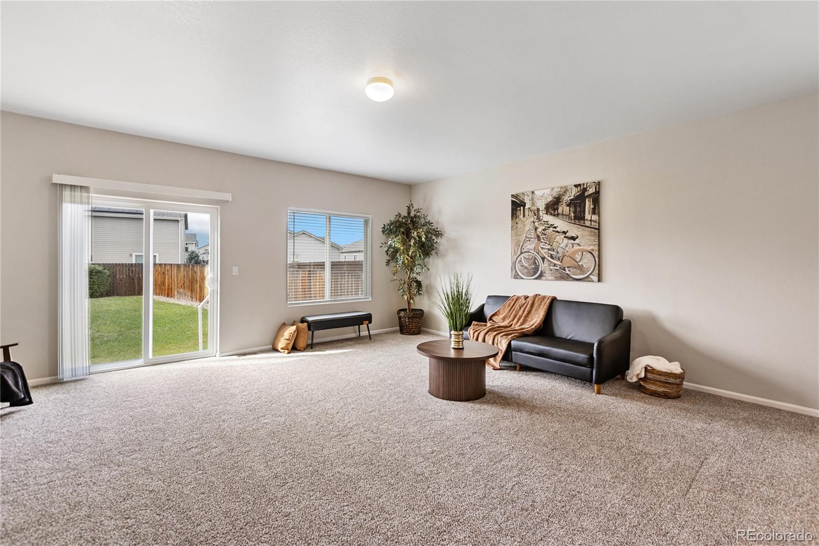 MLS Image #15 for 10219  intrepid way,colorado springs, Colorado