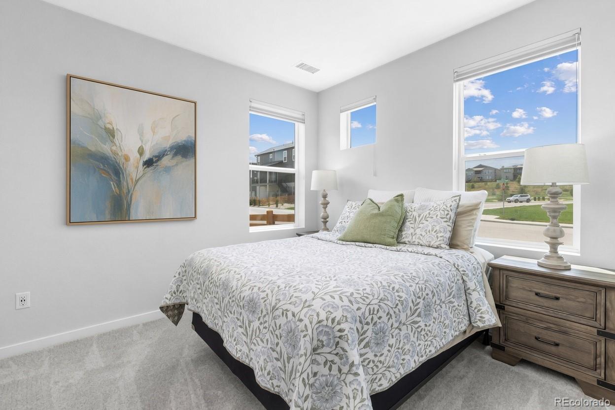 MLS Image #16 for 11000  shining star circle,parker, Colorado