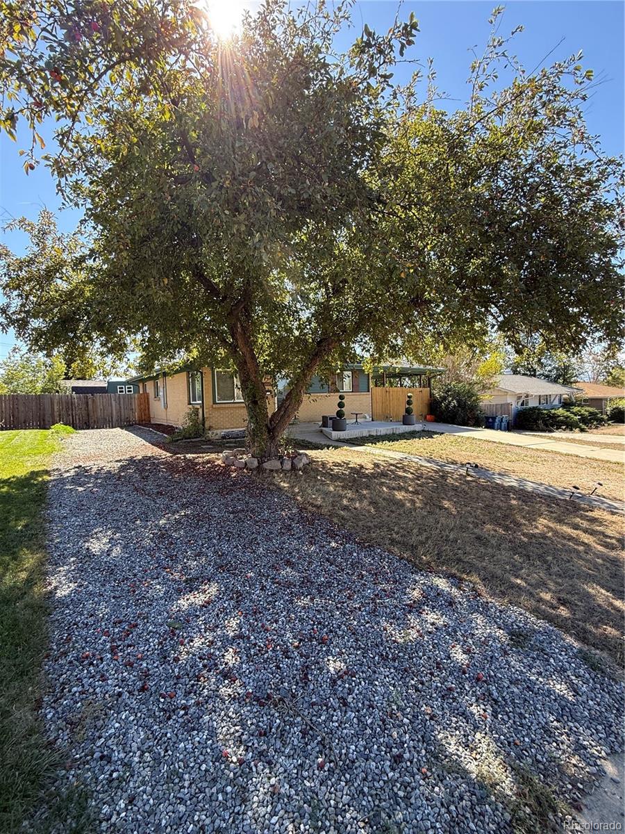 MLS Image #22 for 4180 w 80th place,westminster, Colorado