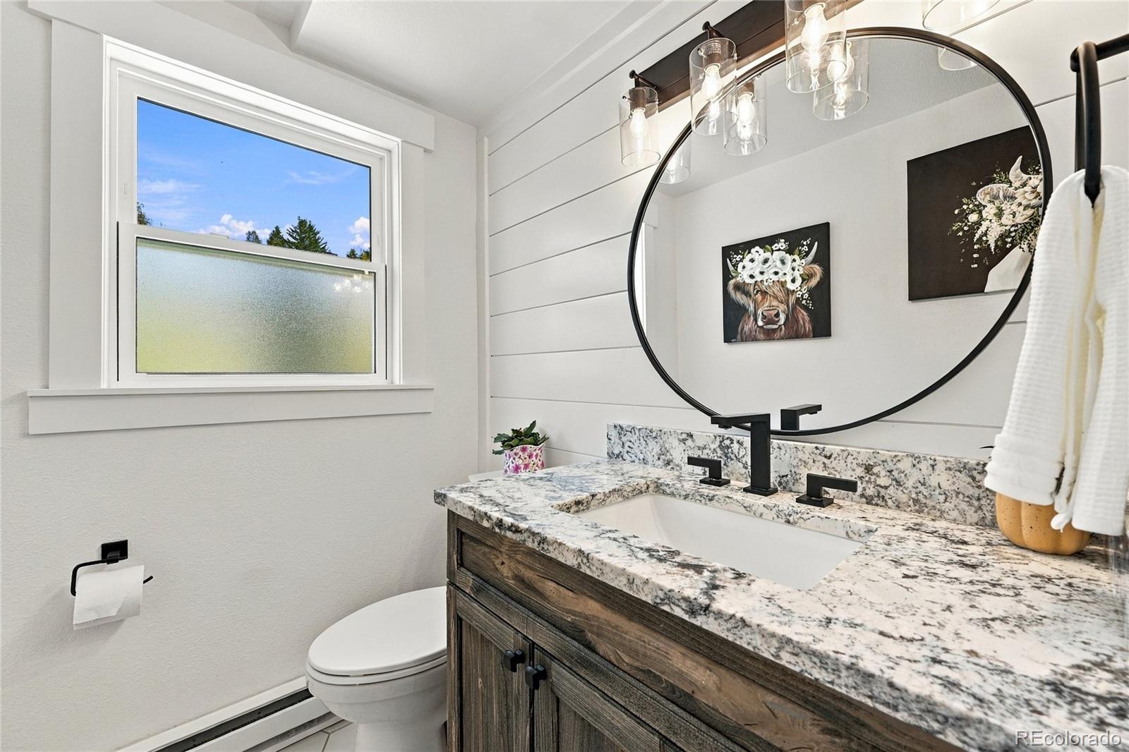 MLS Image #13 for 6820  brook forest drive,evergreen, Colorado