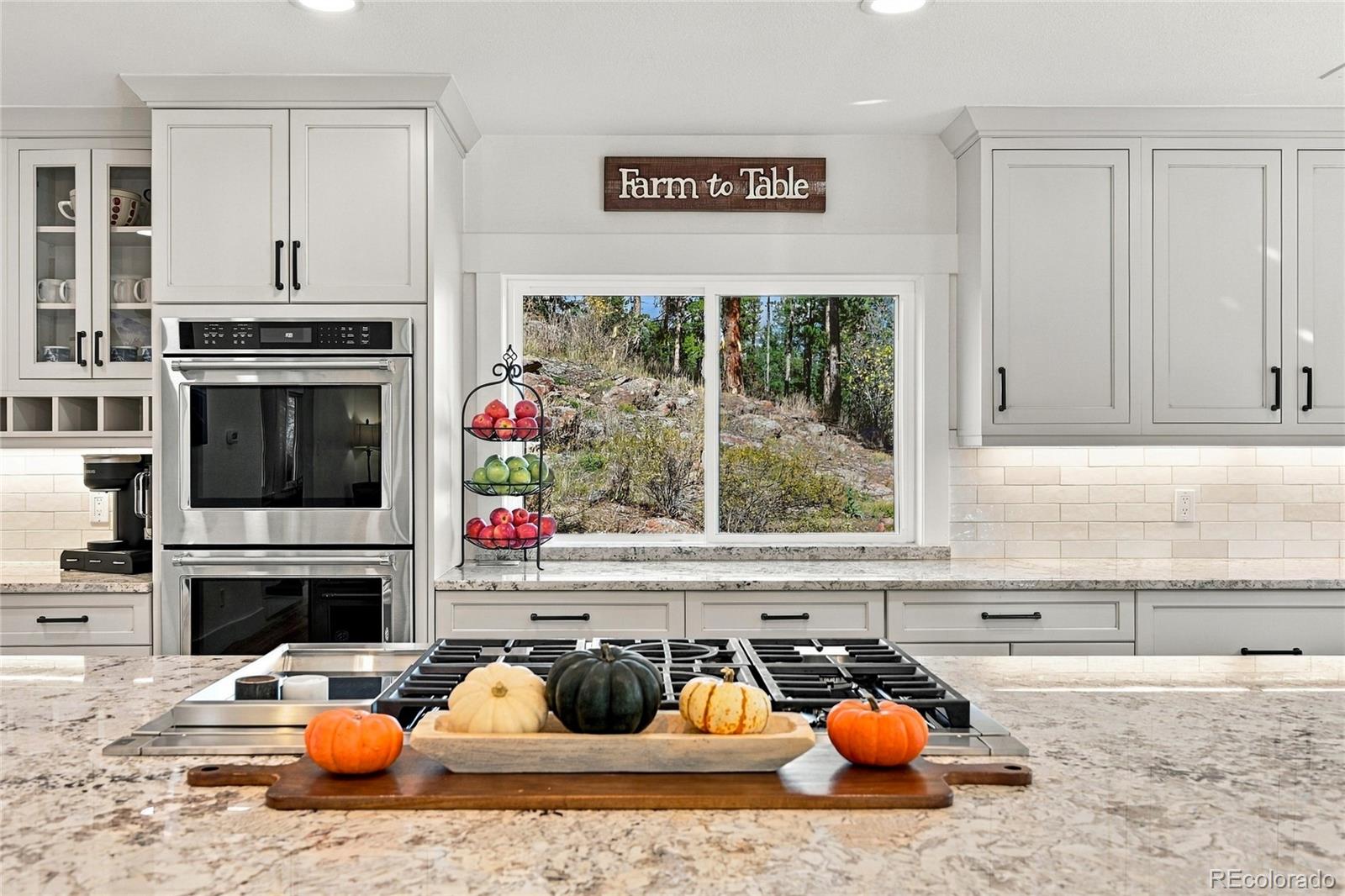MLS Image #9 for 6820  brook forest drive,evergreen, Colorado