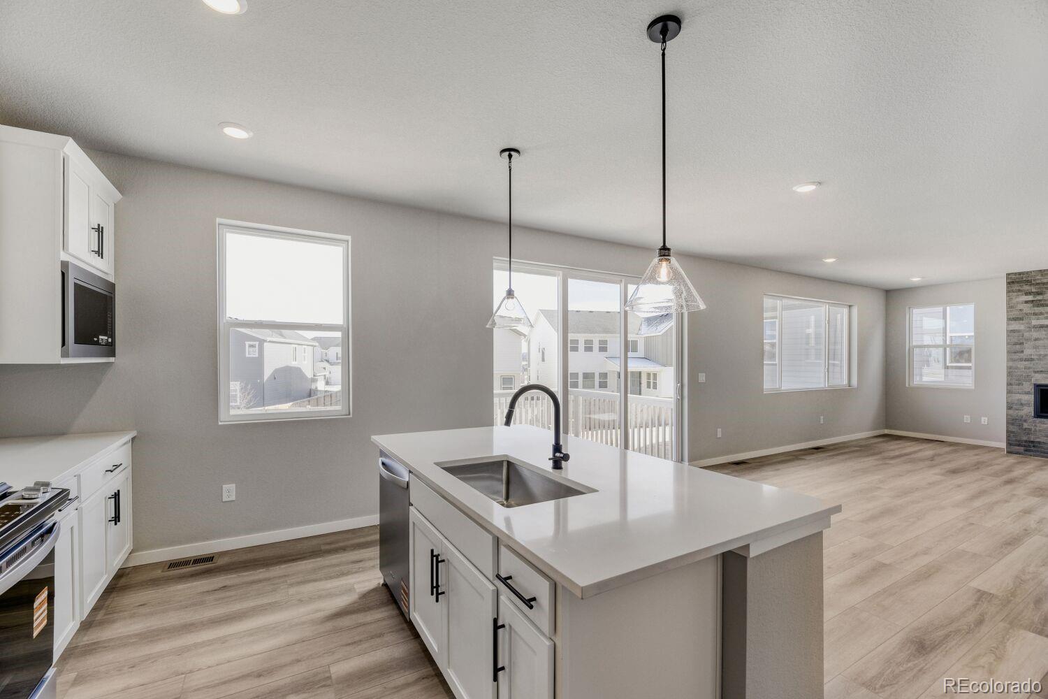 MLS Image #13 for 13780  daffodil way,parker, Colorado