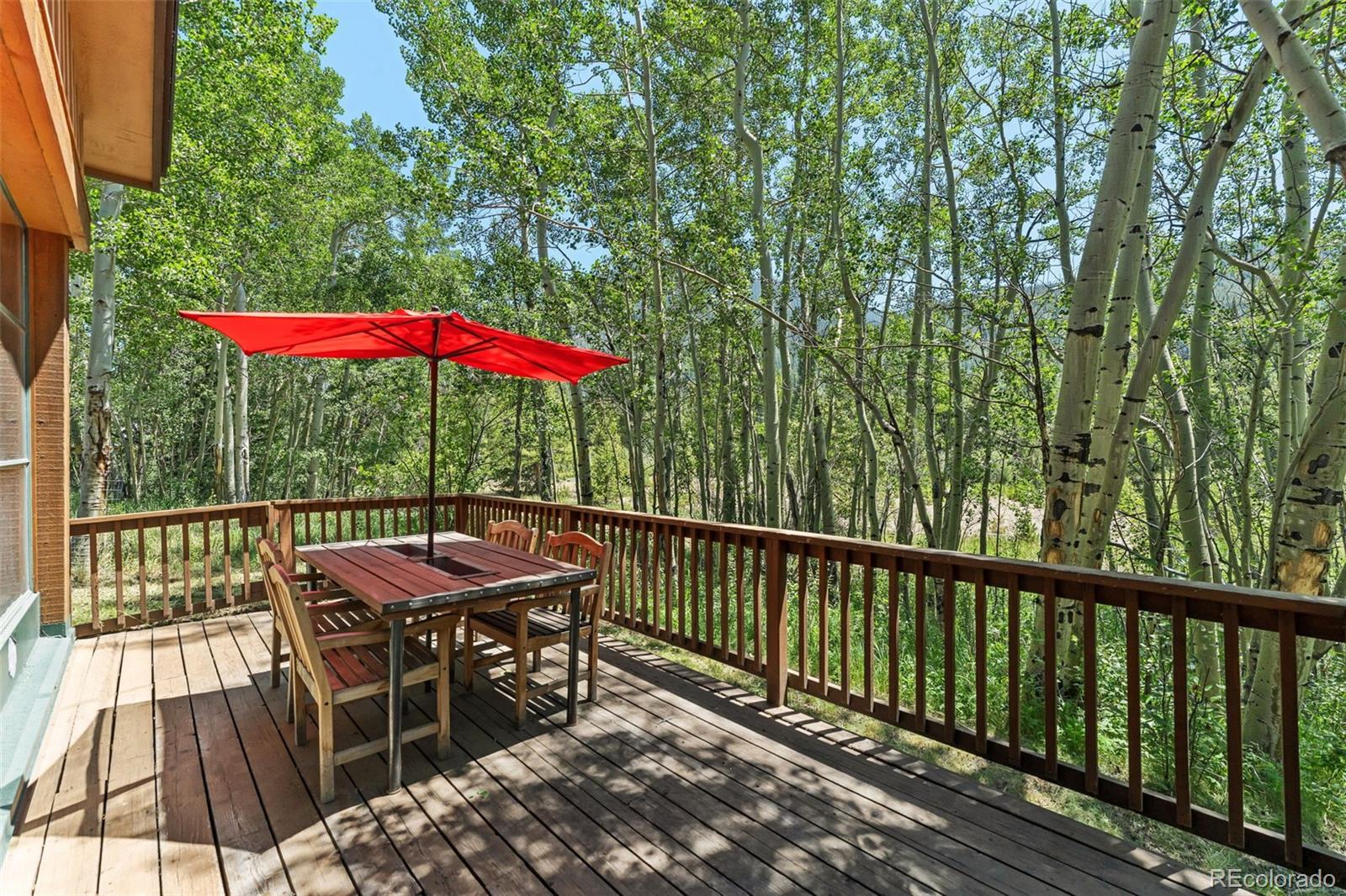 MLS Image #15 for 710  alhambra road,keystone, Colorado