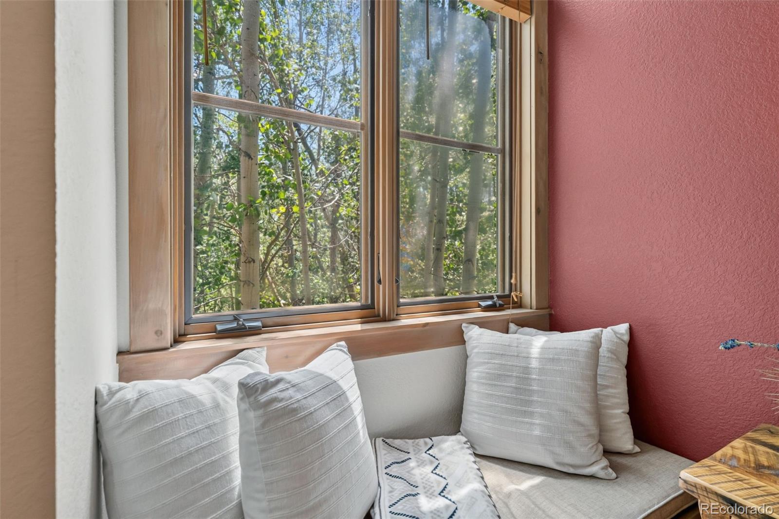 MLS Image #23 for 710  alhambra road,keystone, Colorado