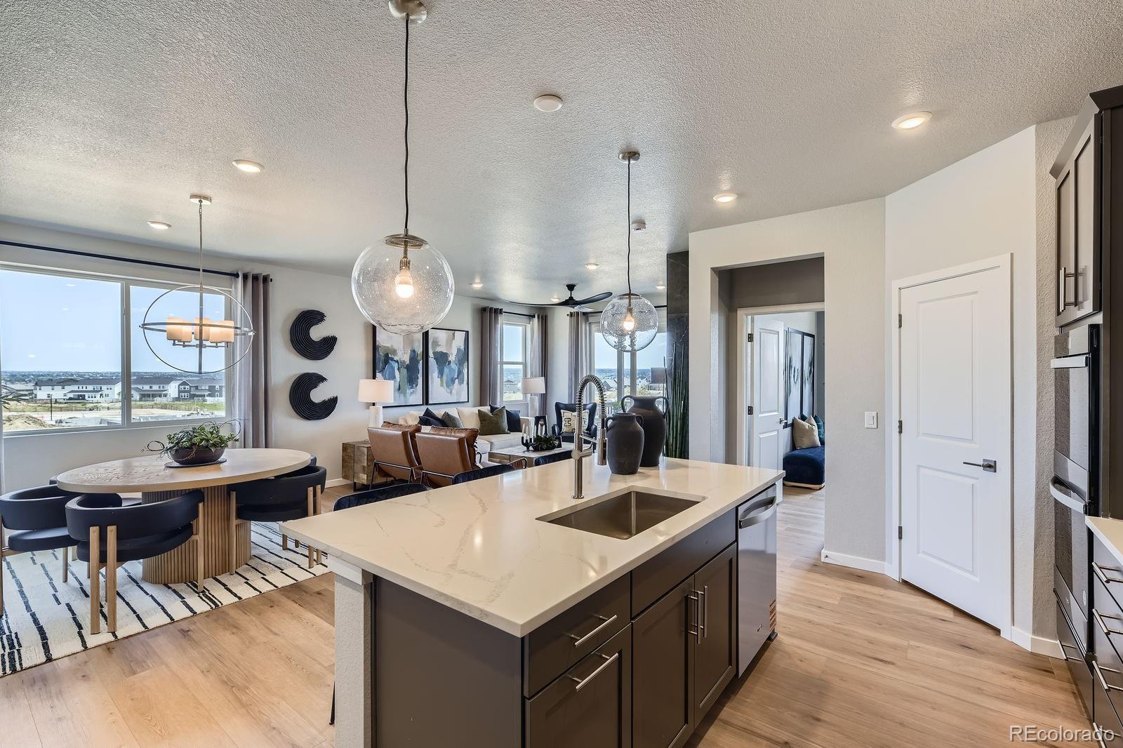 MLS Image #11 for 13394  finnhorse circle,parker, Colorado