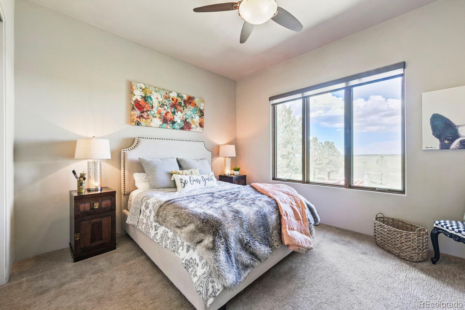 MLS Image #20 for 16325  eastonville road,black forest, Colorado