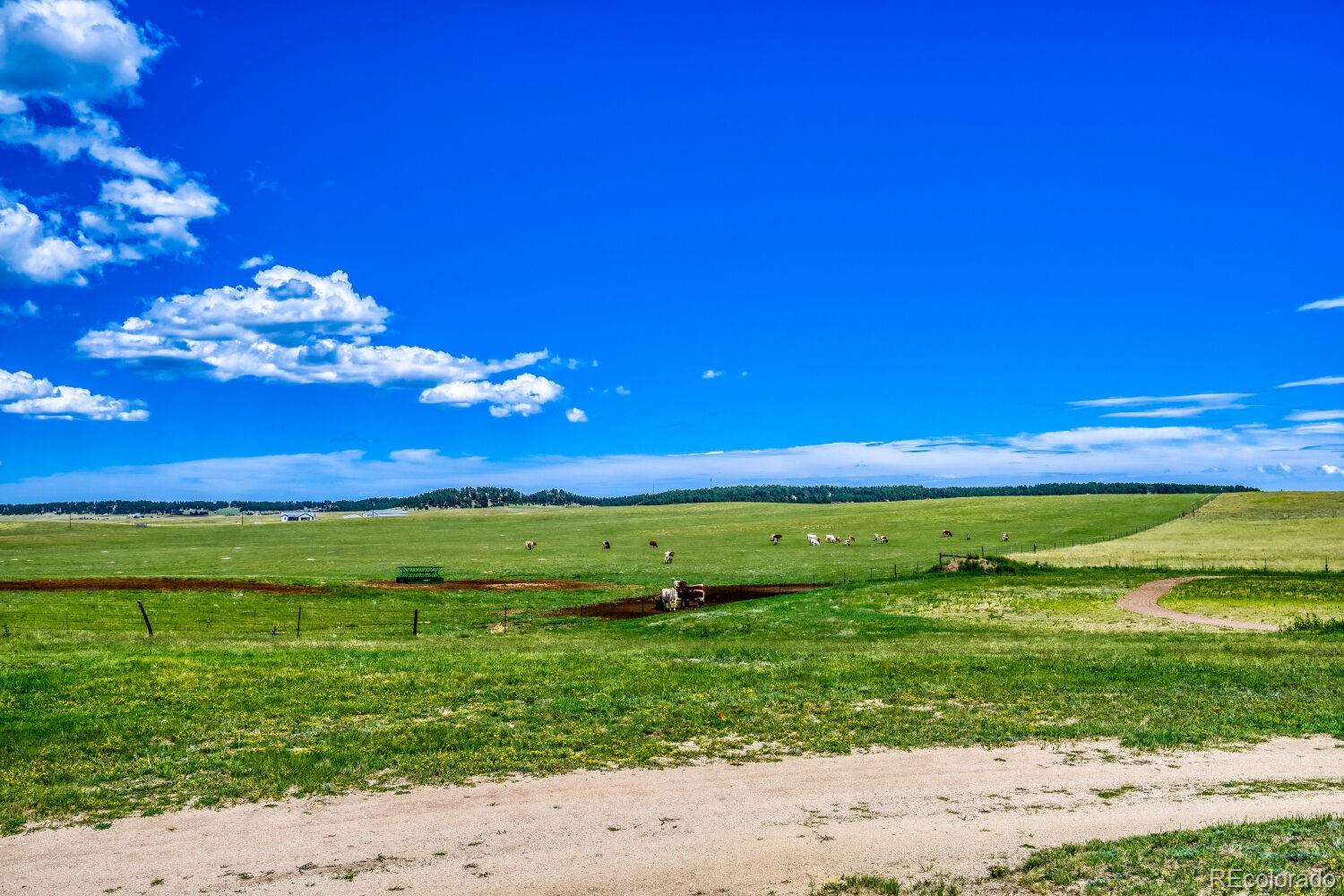 MLS Image #45 for 16325  eastonville road,black forest, Colorado
