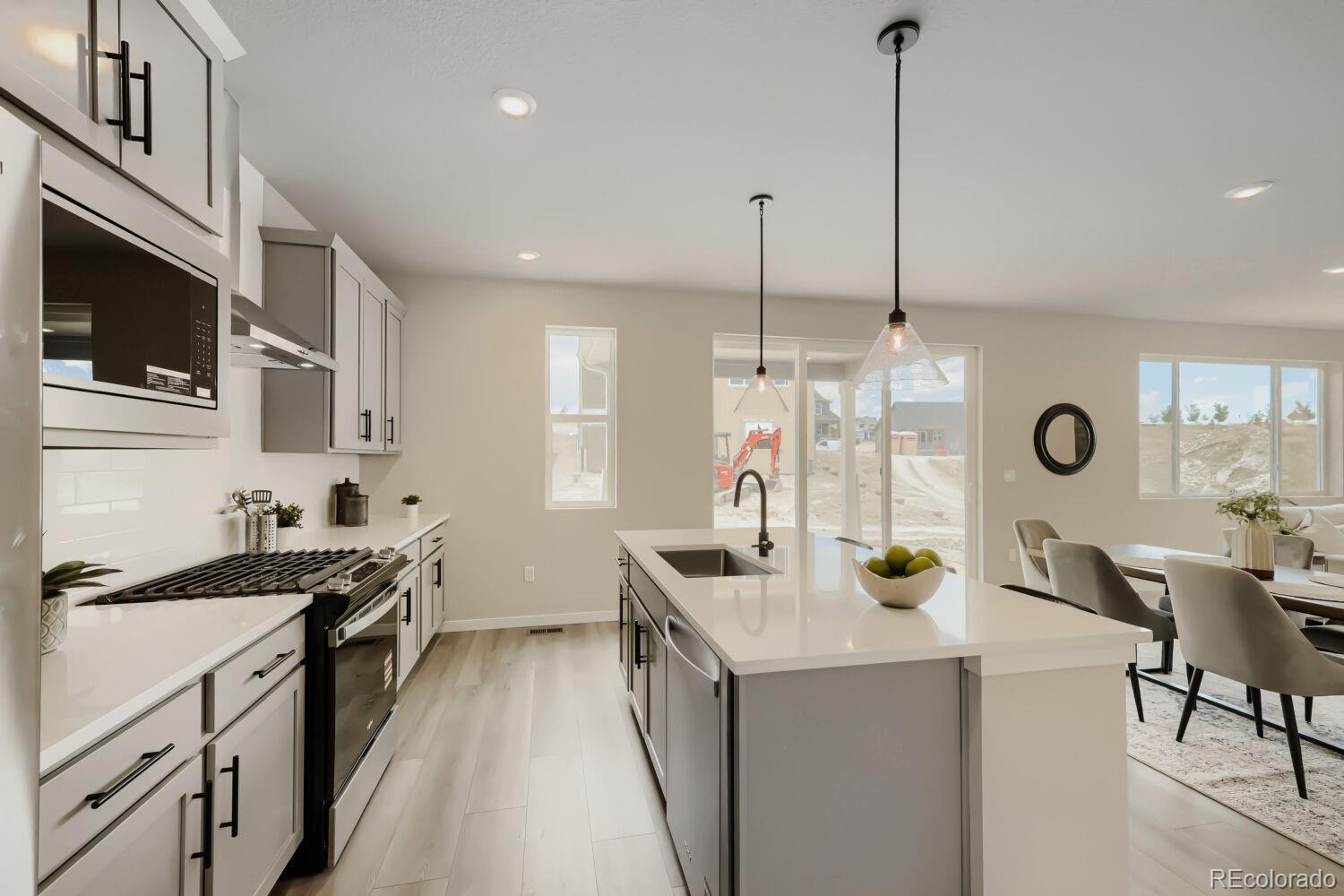 MLS Image #14 for 13409  finnhorse street,parker, Colorado