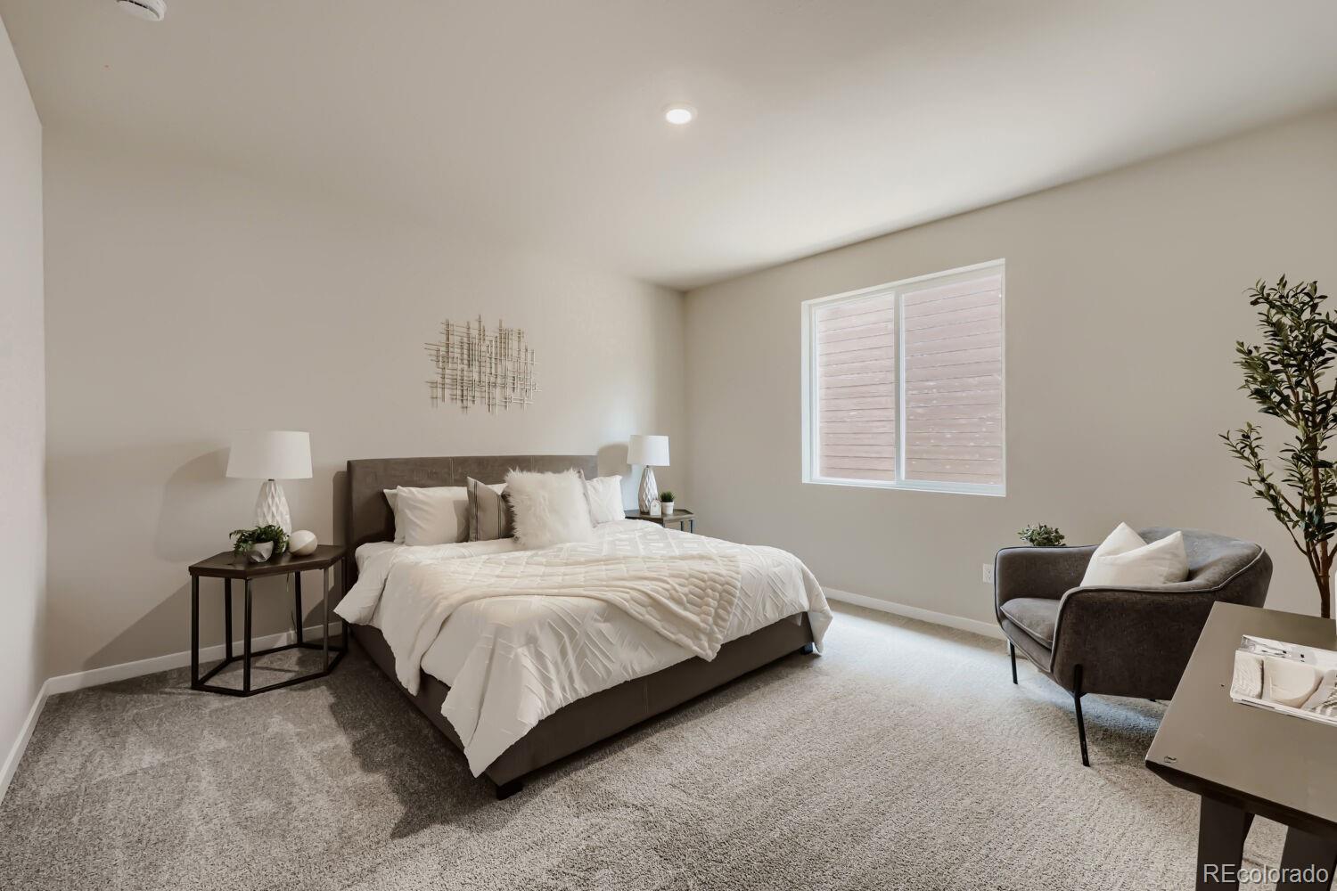 MLS Image #17 for 13409  finnhorse street,parker, Colorado