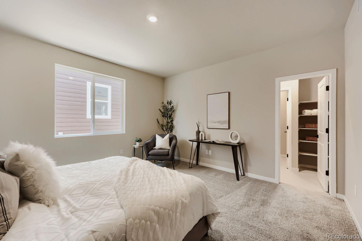 MLS Image #18 for 13409  finnhorse street,parker, Colorado