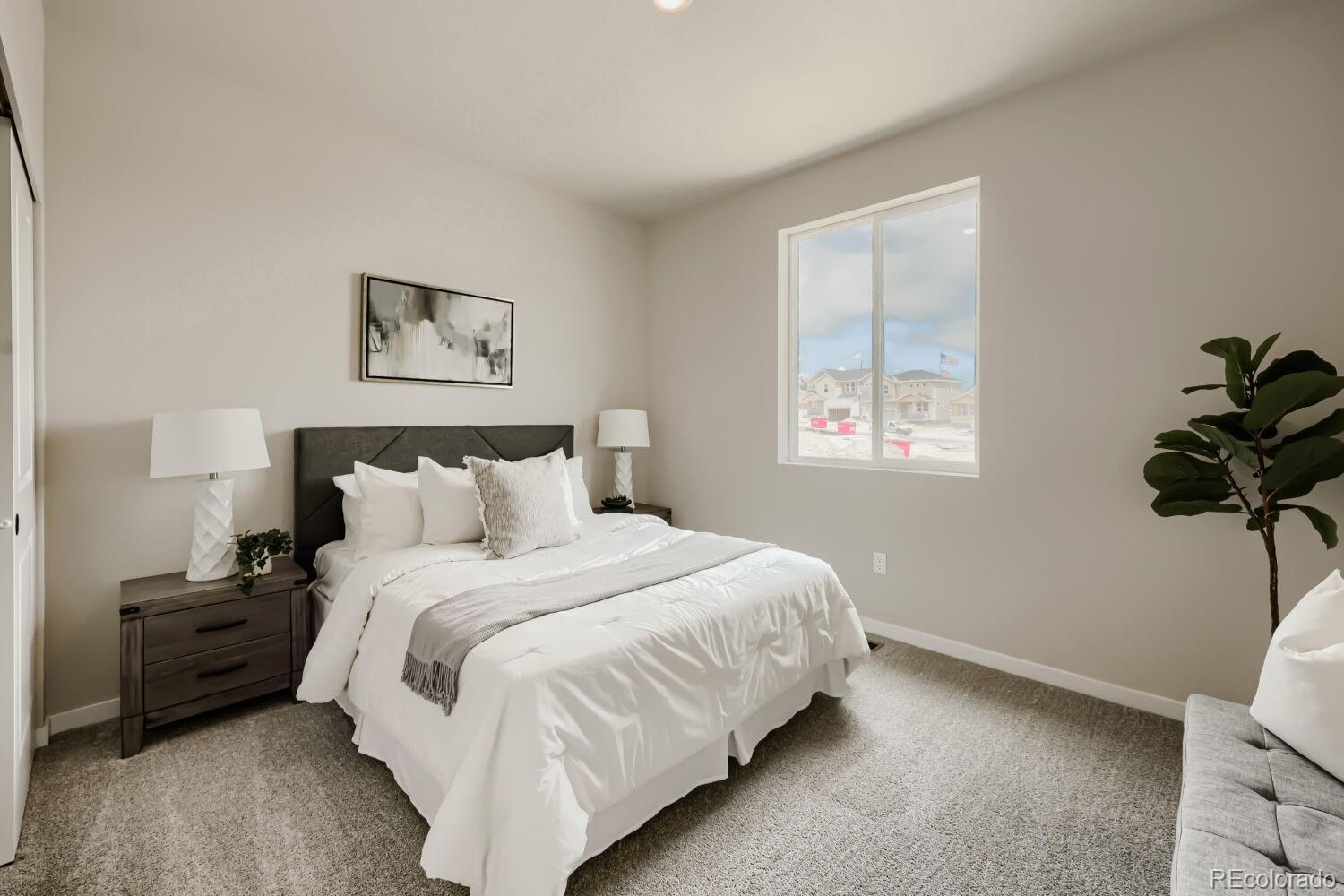 MLS Image #24 for 13409  finnhorse street,parker, Colorado