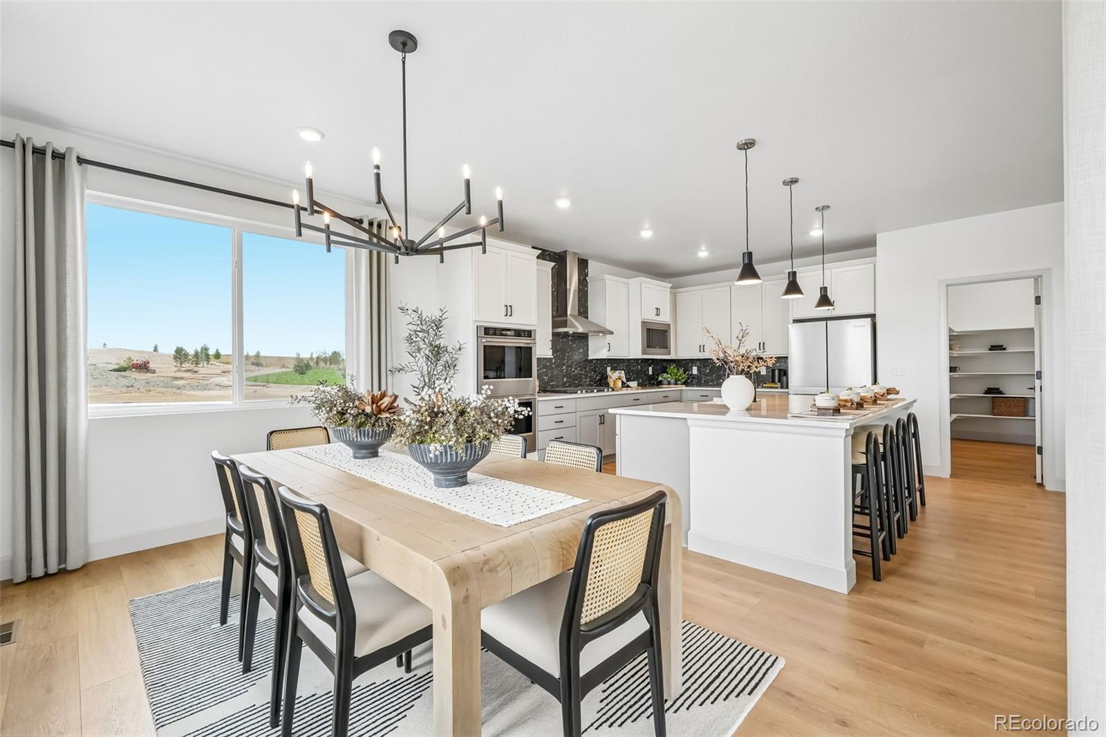 MLS Image #10 for 13272  finnhorse street,parker, Colorado