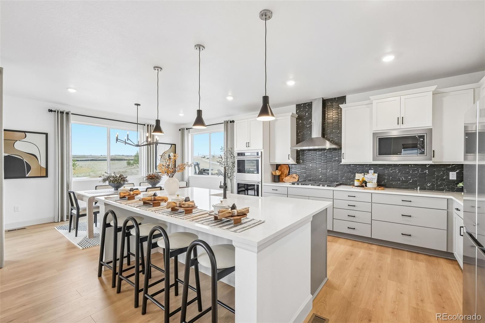 MLS Image #12 for 13272  finnhorse street,parker, Colorado
