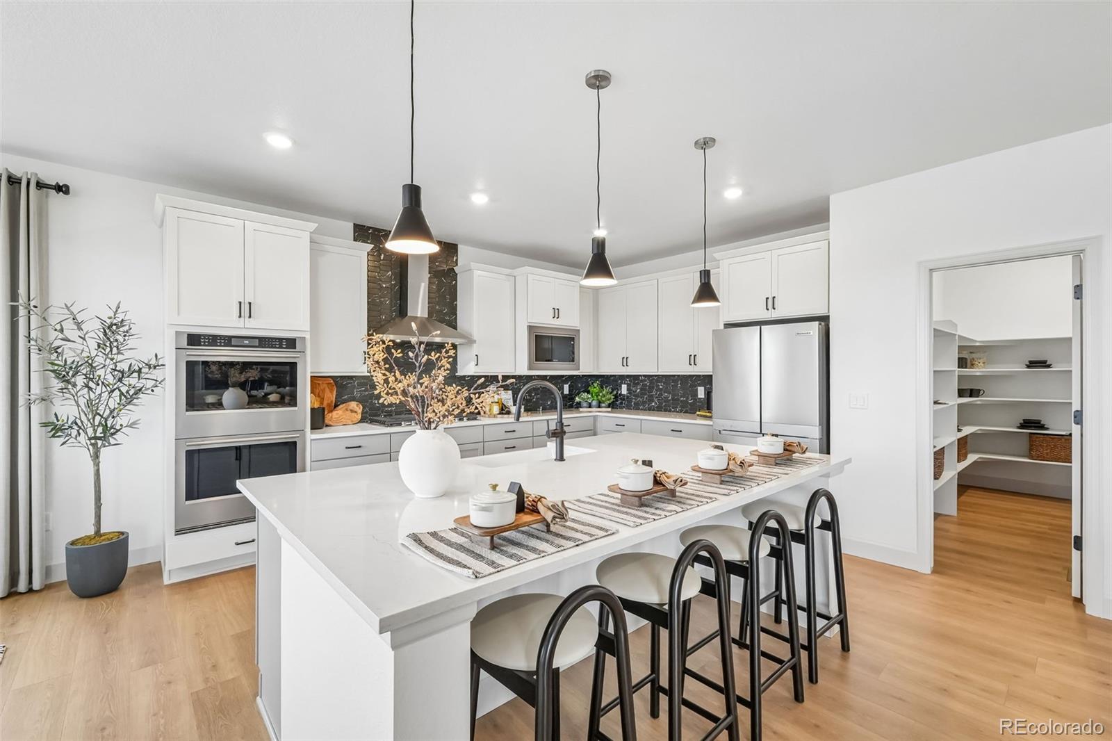 MLS Image #13 for 13272  finnhorse street,parker, Colorado