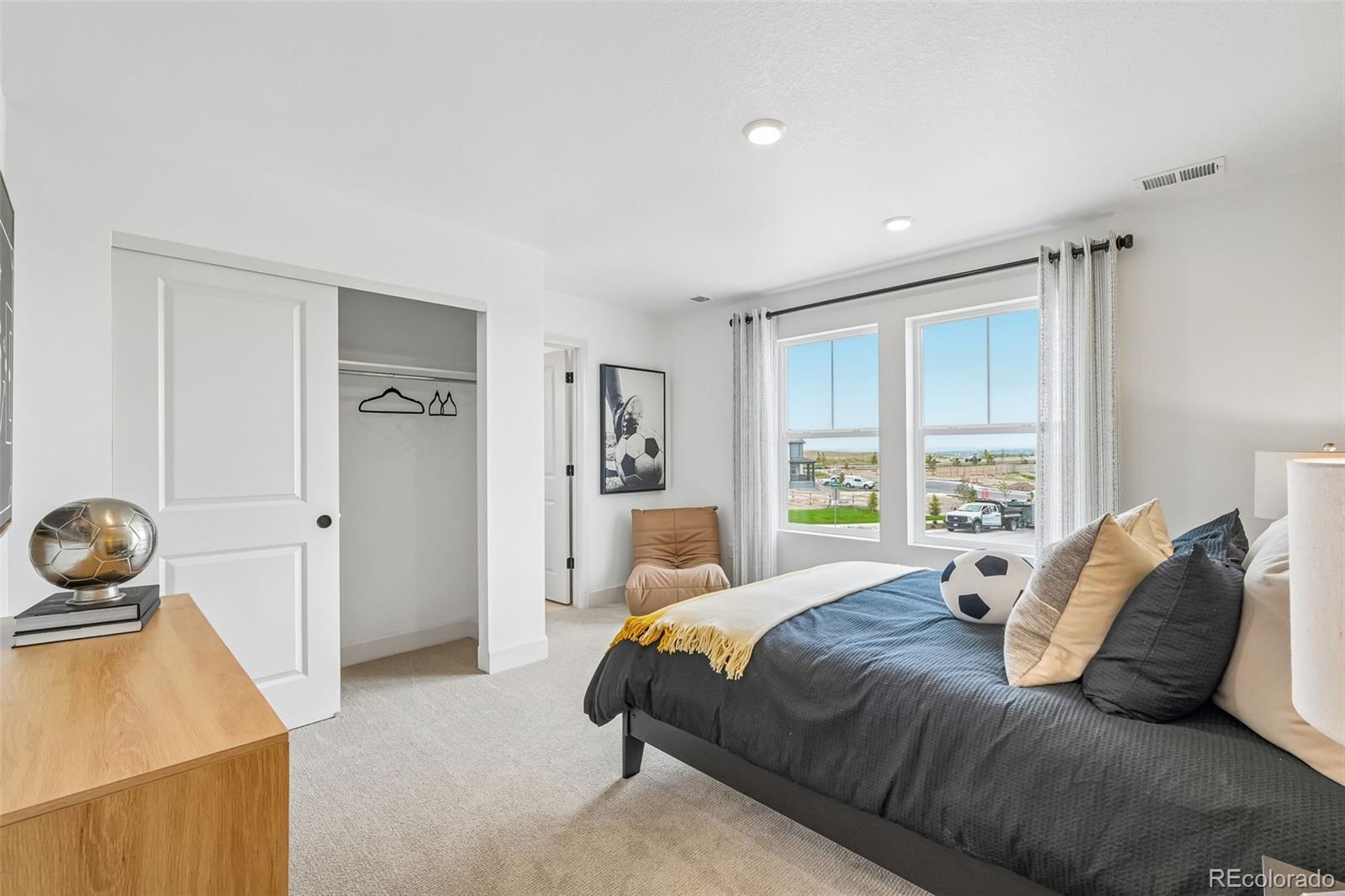 MLS Image #39 for 13272  finnhorse street,parker, Colorado