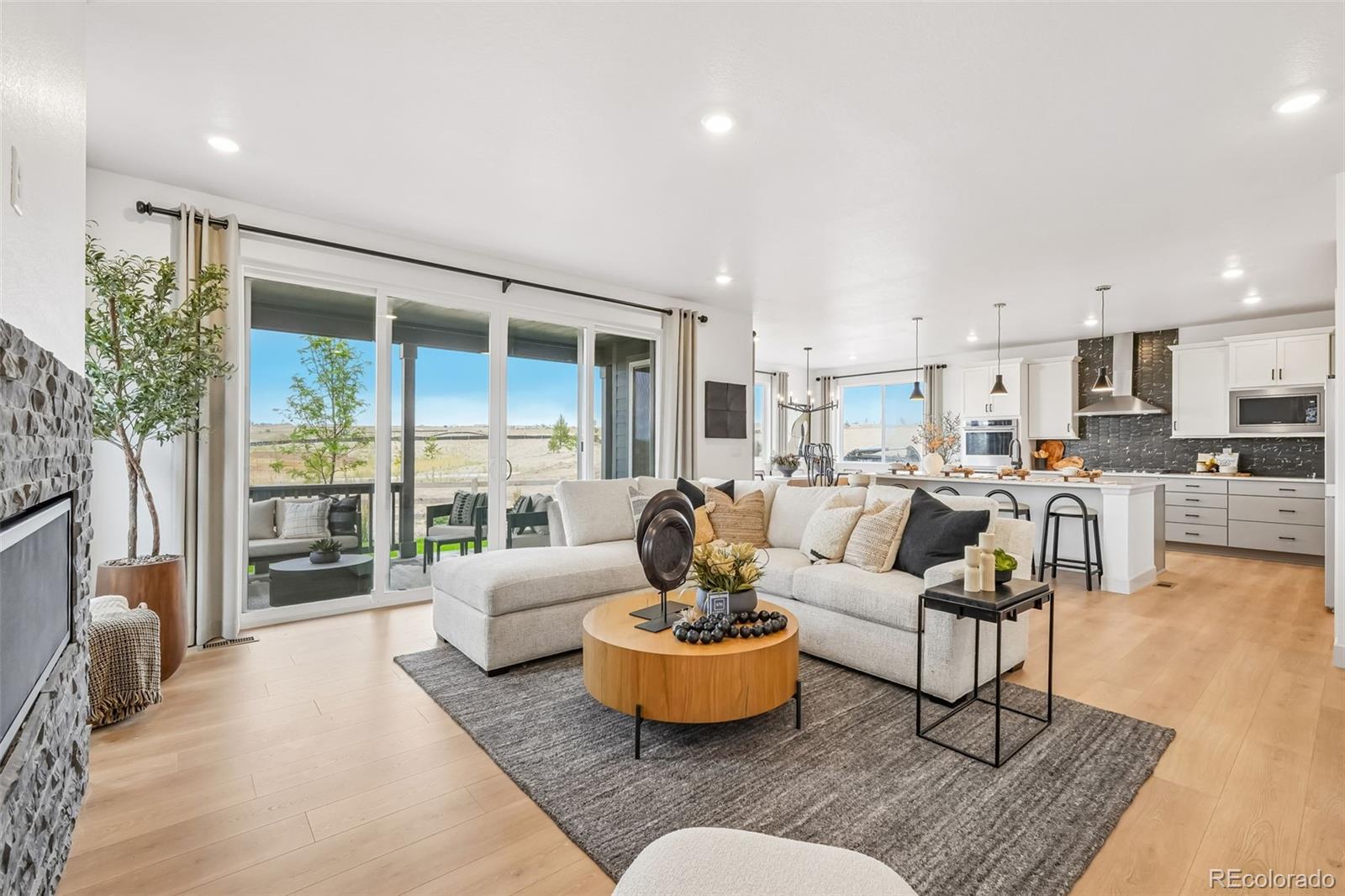MLS Image #8 for 13272  finnhorse street,parker, Colorado