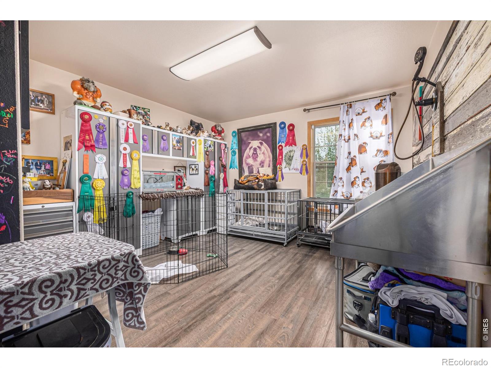MLS Image #16 for 40078  county road 23 ,ault, Colorado