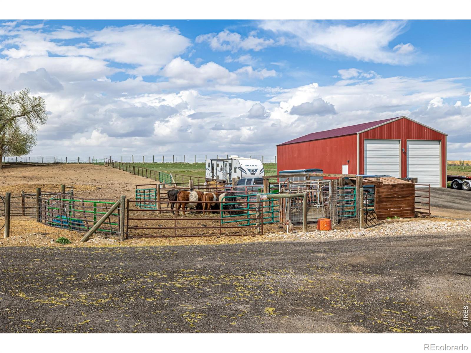 MLS Image #26 for 40078  county road 23 ,ault, Colorado