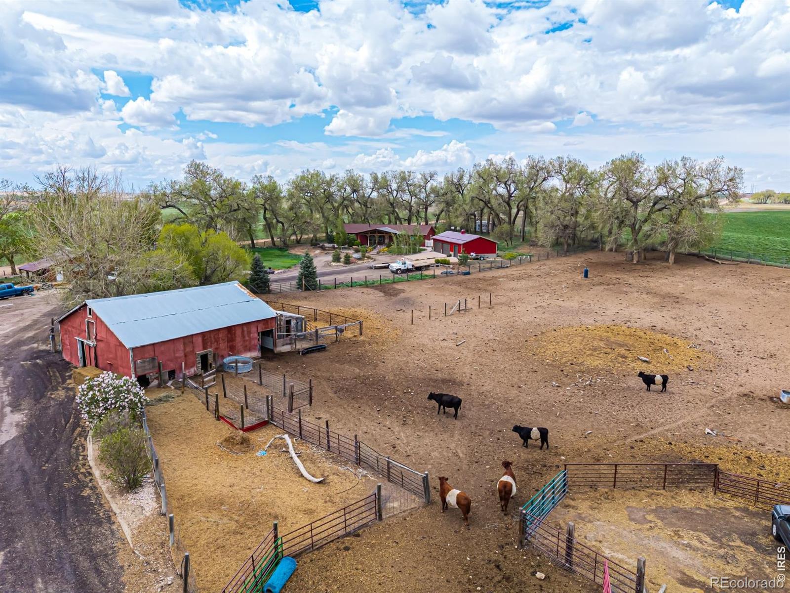 MLS Image #34 for 40078  county road 23 ,ault, Colorado
