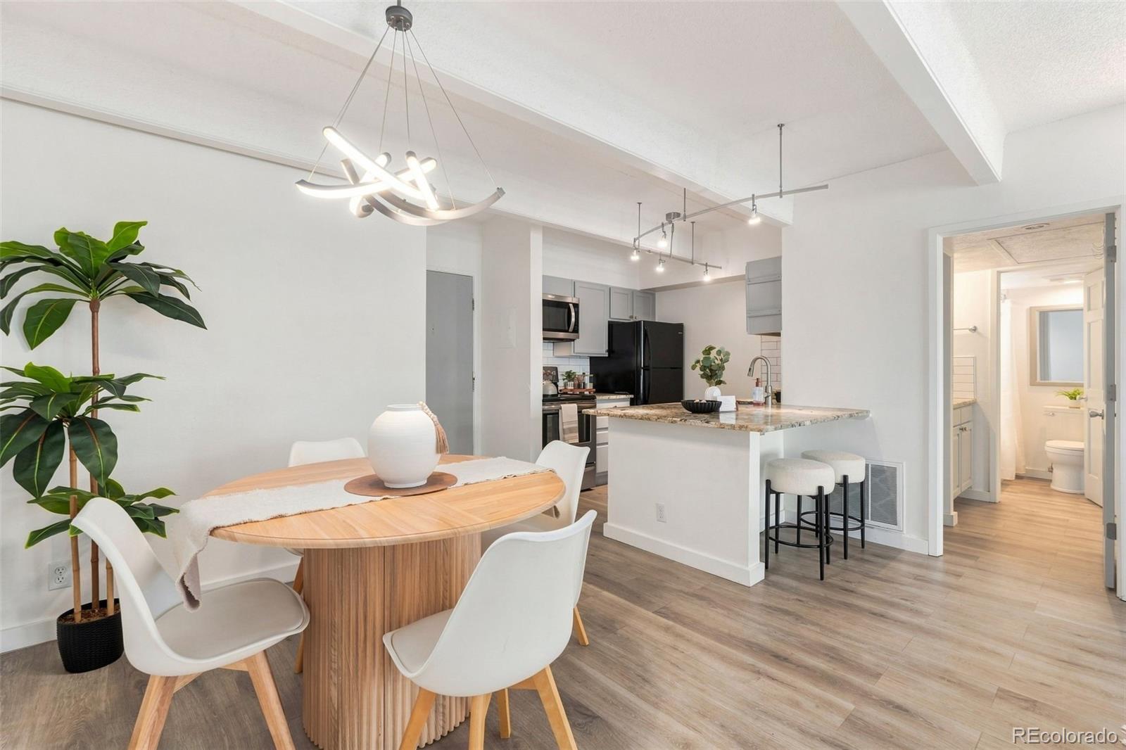 MLS Image #2 for 777 n washington street,denver, Colorado