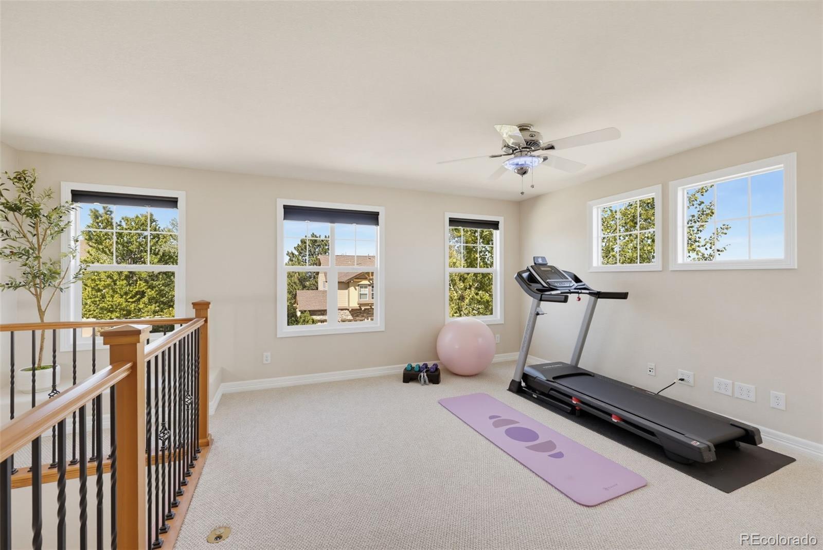 MLS Image #30 for 1610  ridgetrail court,castle rock, Colorado