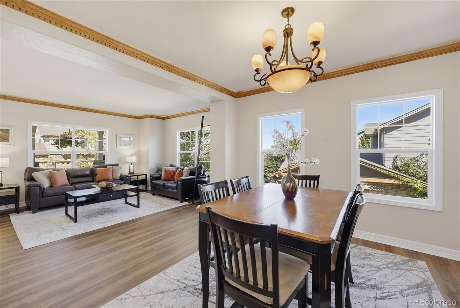 MLS Image #9 for 1610  ridgetrail court,castle rock, Colorado