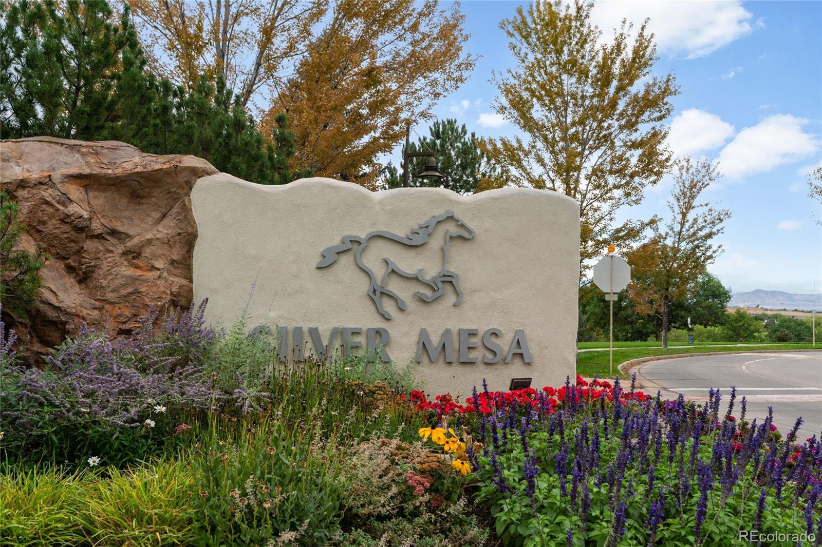 MLS Image #25 for 6480  silver mesa drive a,highlands ranch, Colorado