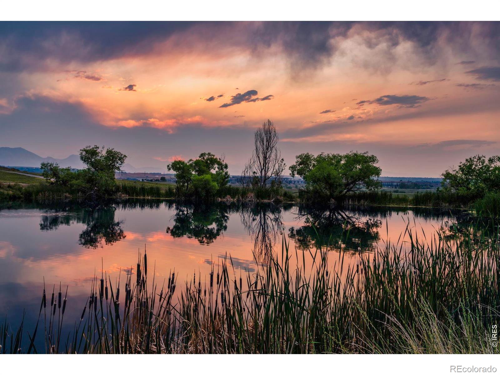 MLS Image #33 for 2202  sunridge circle,broomfield, Colorado