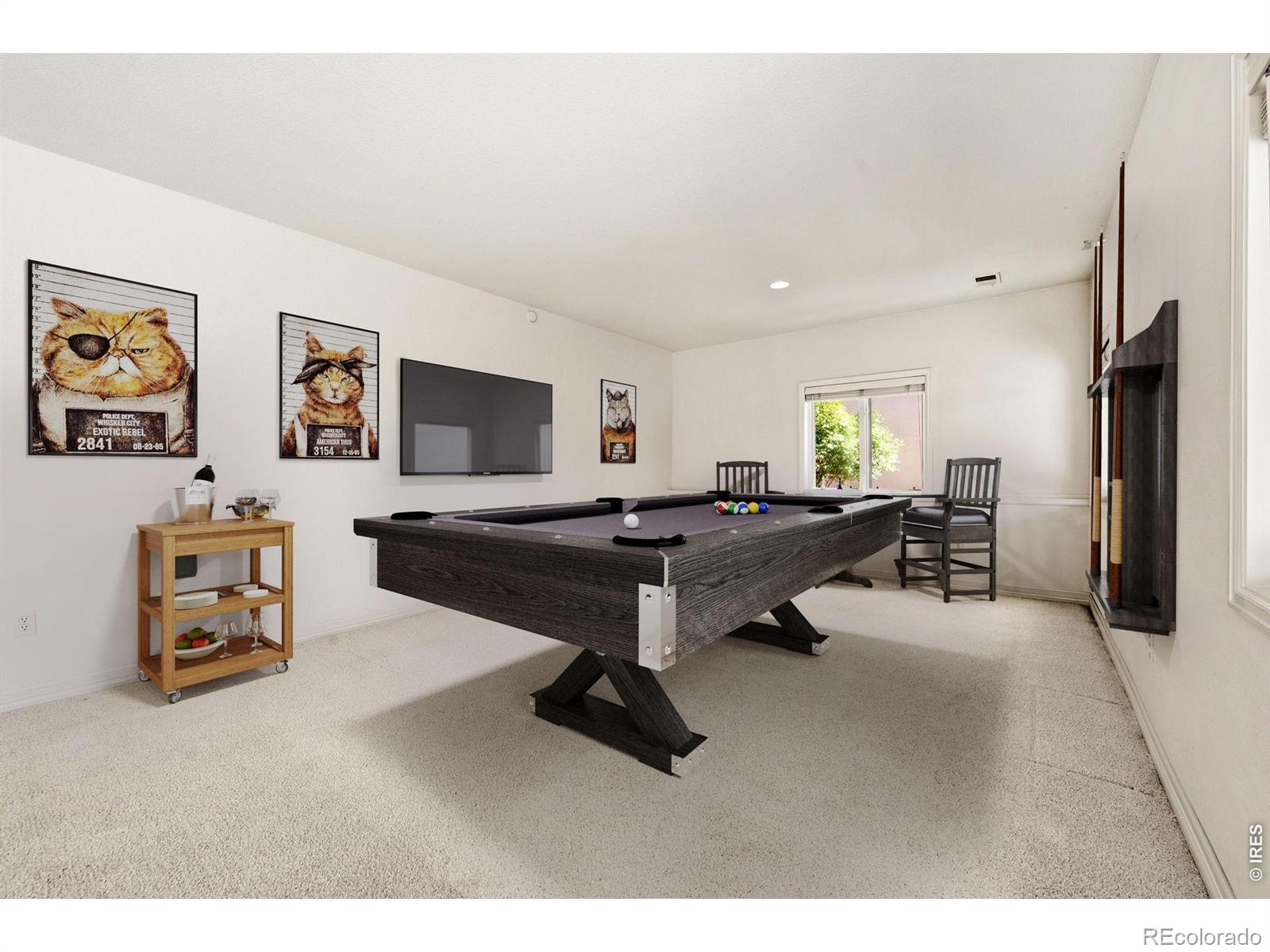 MLS Image #43 for 3665  harbor way,fort collins, Colorado