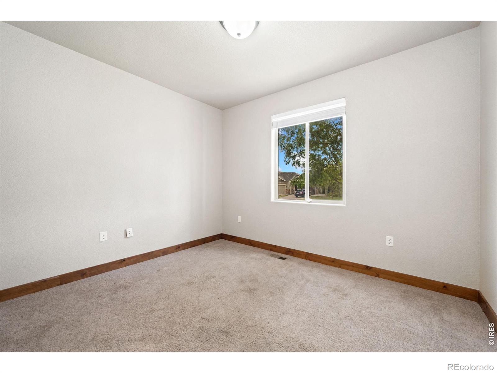 MLS Image #17 for 4369  cicely court,johnstown, Colorado