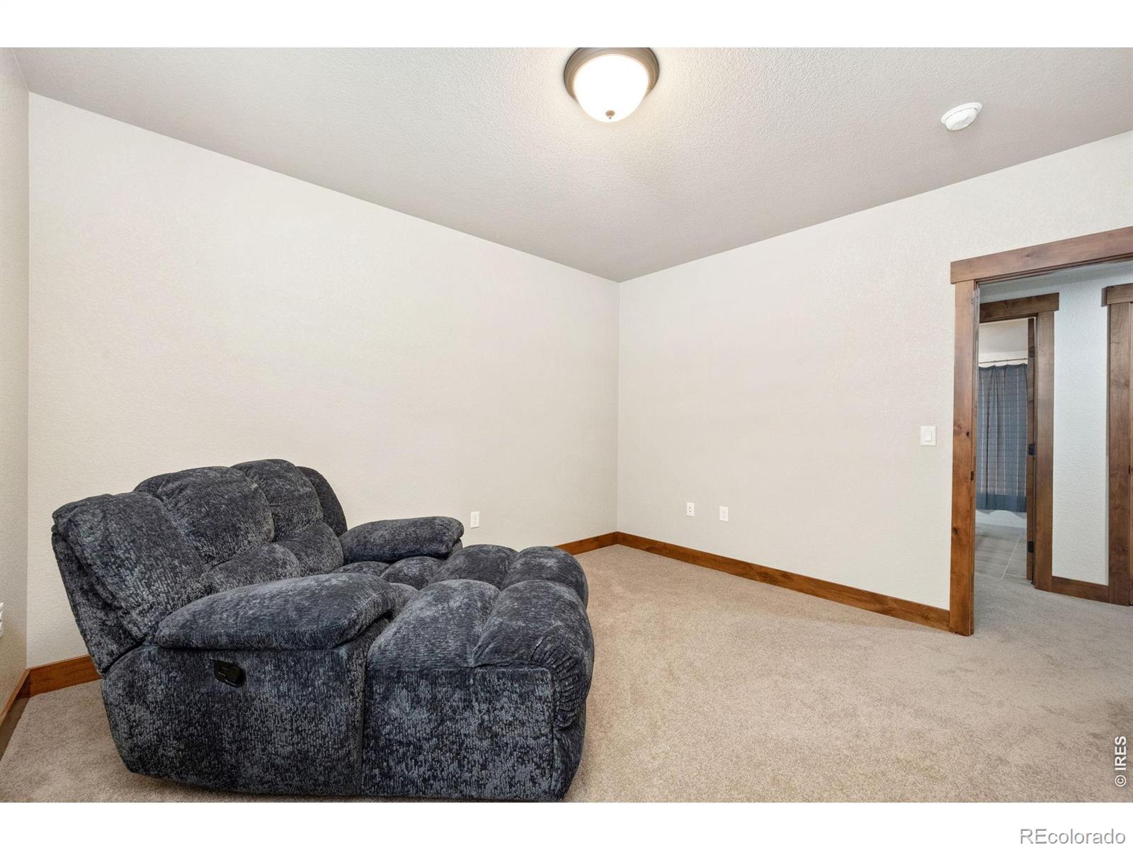 MLS Image #29 for 4369  cicely court,johnstown, Colorado