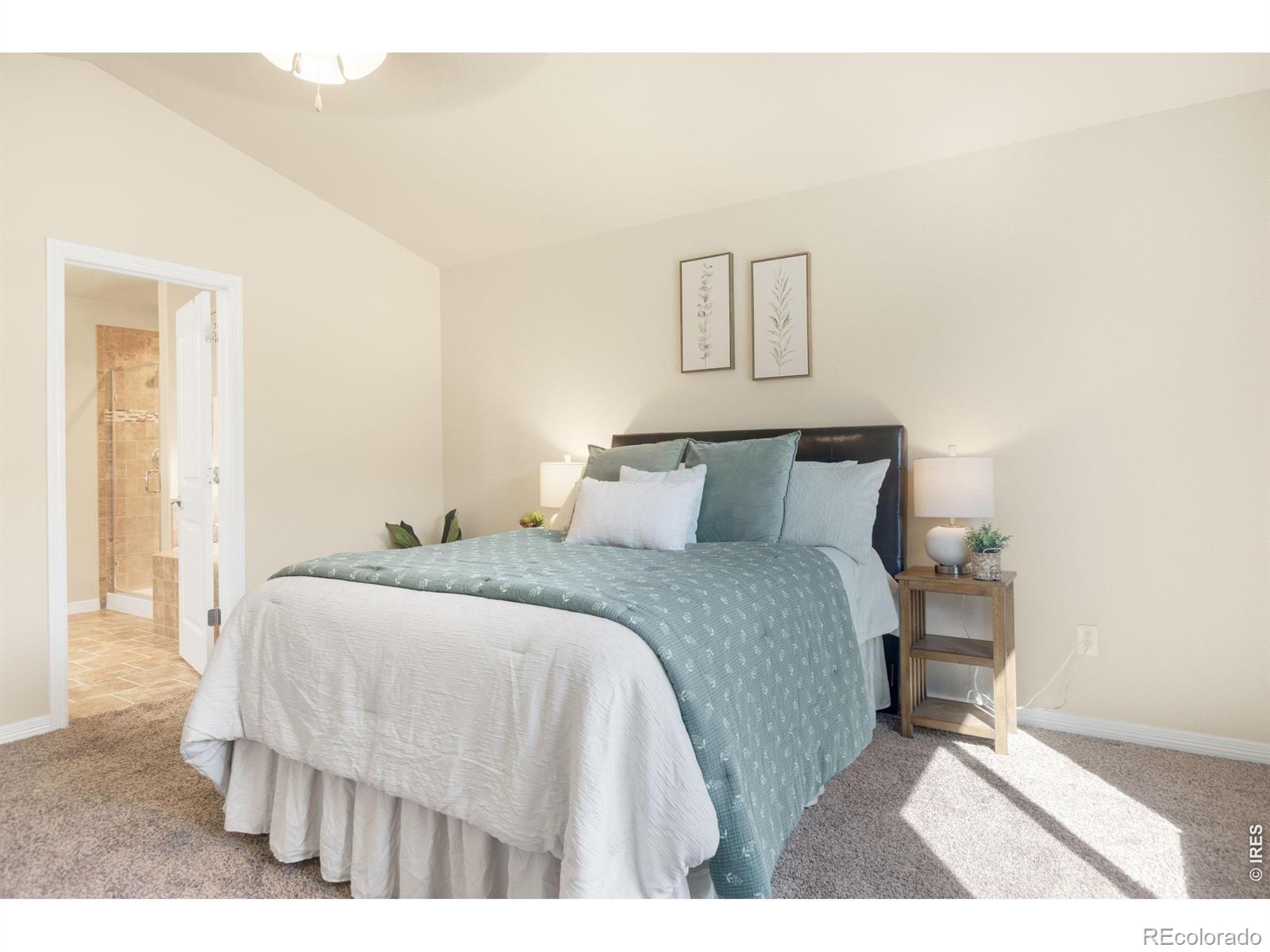 MLS Image #12 for 1798  avery plaza street,severance, Colorado