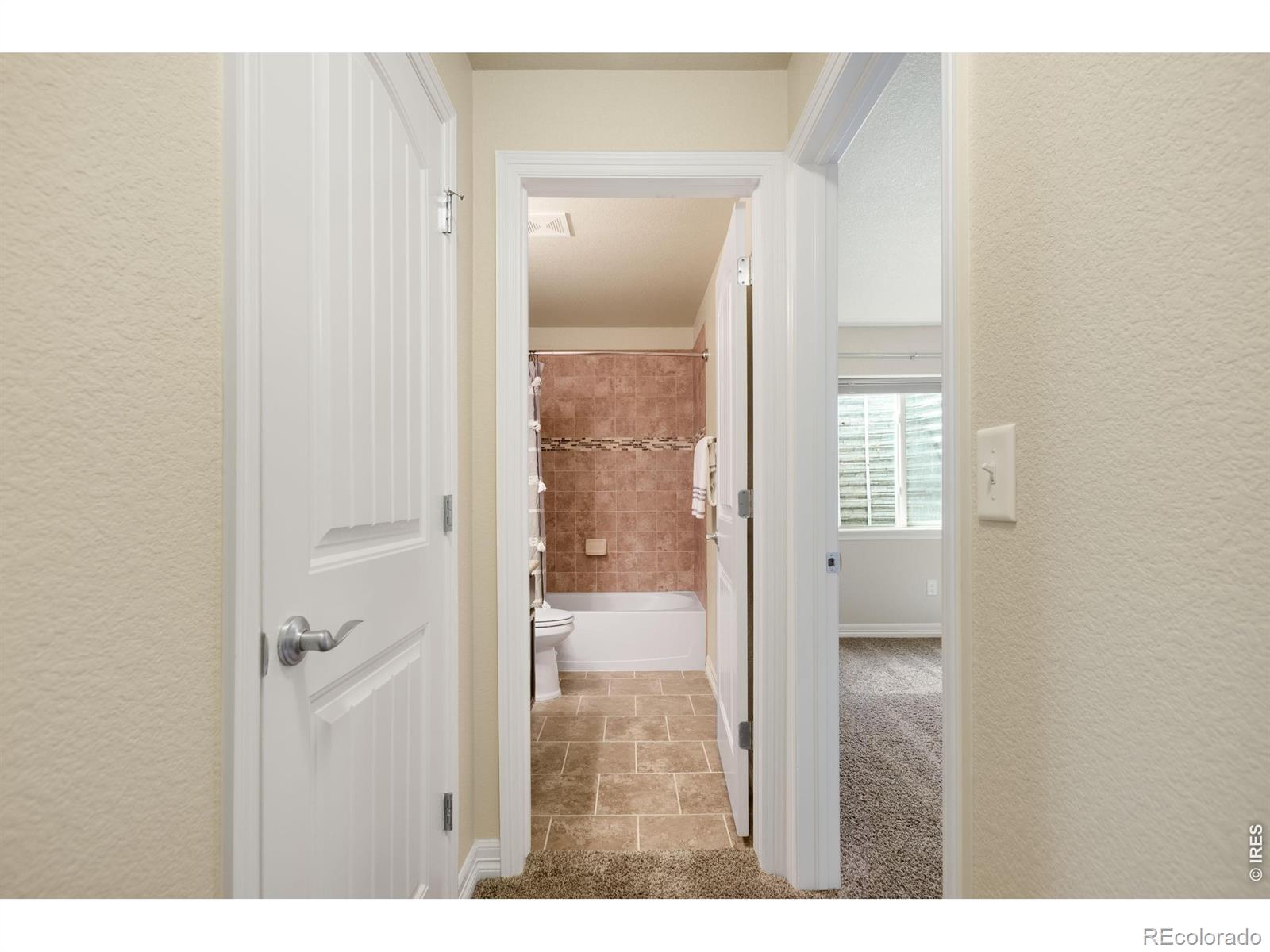 MLS Image #20 for 1798  avery plaza street,severance, Colorado