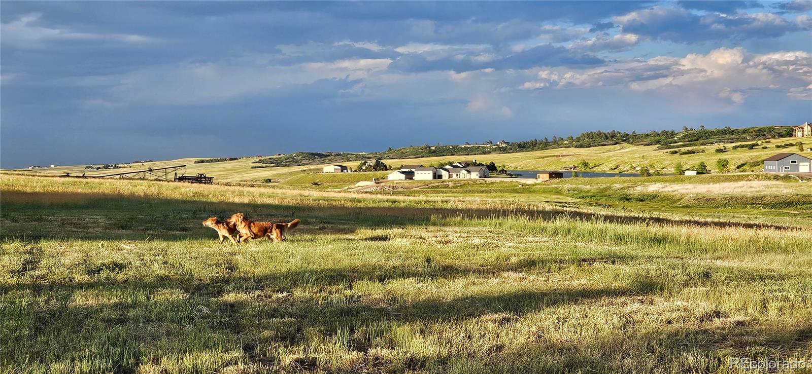 MLS Image #11 for 7190  nautique circle,larkspur, Colorado