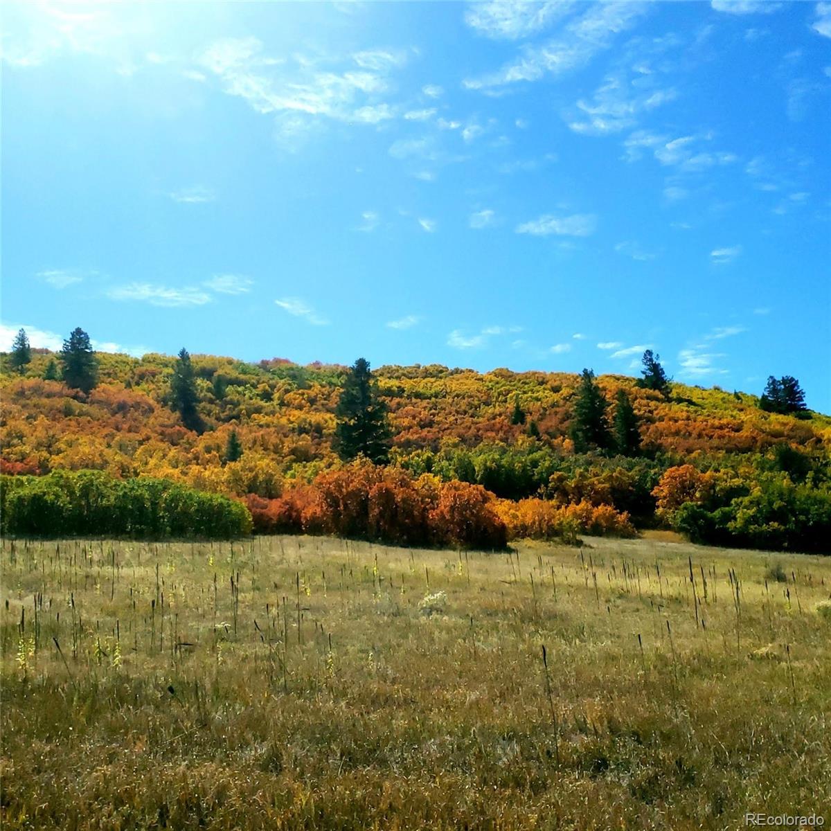 MLS Image #3 for 7190  nautique circle,larkspur, Colorado