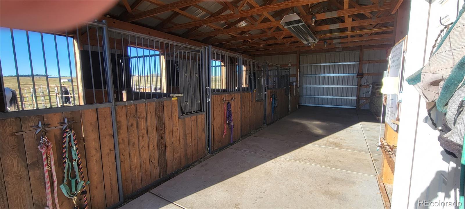 MLS Image #6 for 7190  nautique circle,larkspur, Colorado