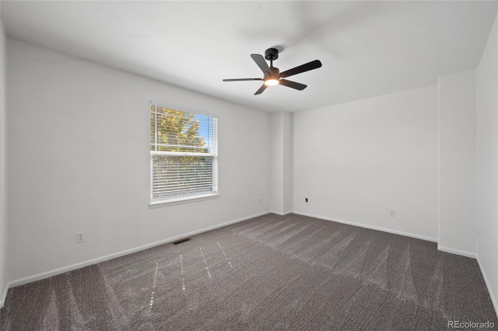 MLS Image #13 for 9267  melborne court,parker, Colorado
