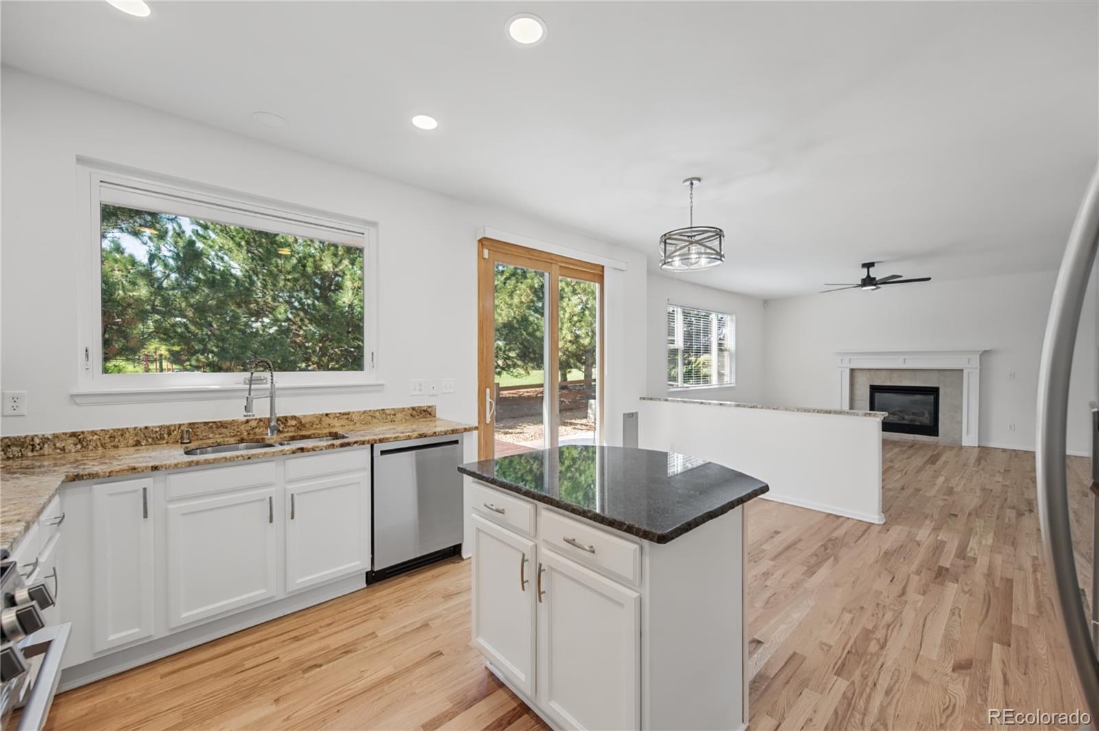 MLS Image #4 for 9267  melborne court,parker, Colorado