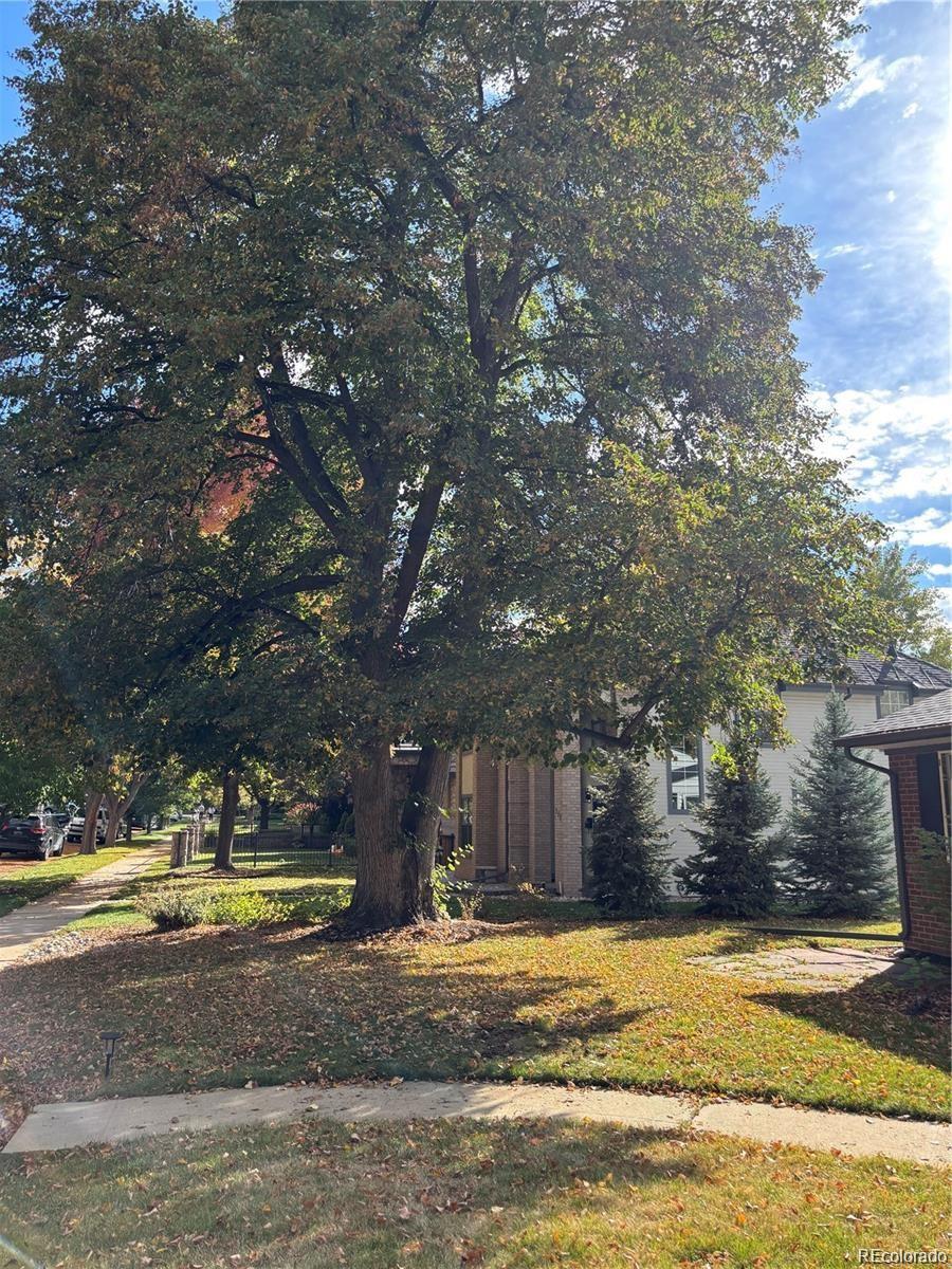 MLS Image #33 for 701 s clayton street,denver, Colorado