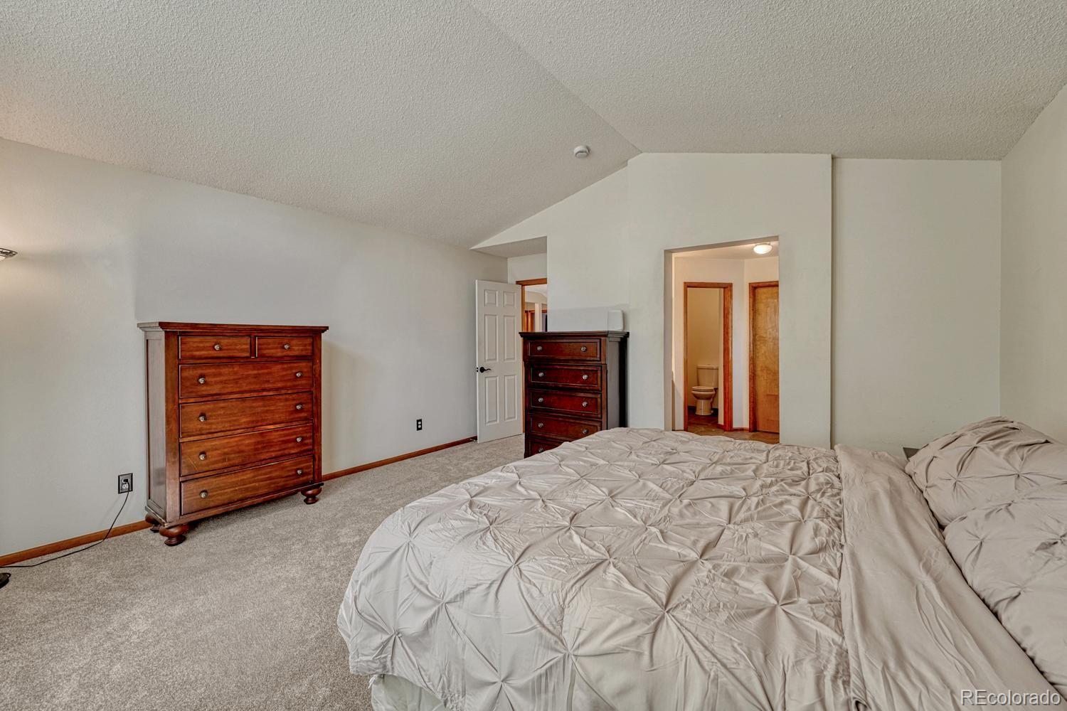 MLS Image #20 for 749  redwood court,highlands ranch, Colorado