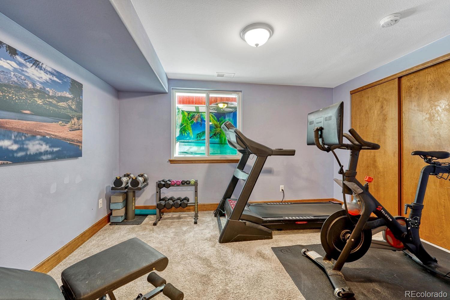 MLS Image #38 for 749  redwood court,highlands ranch, Colorado
