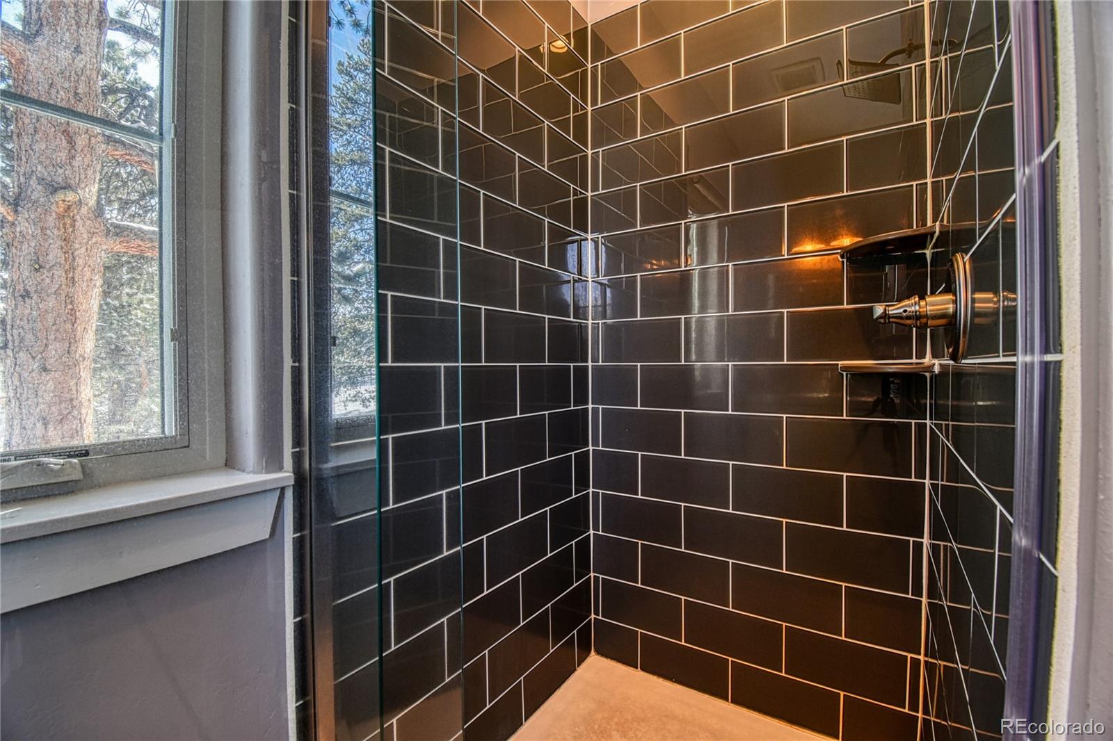 MLS Image #10 for 237  ridge rd ,twin lakes, Colorado