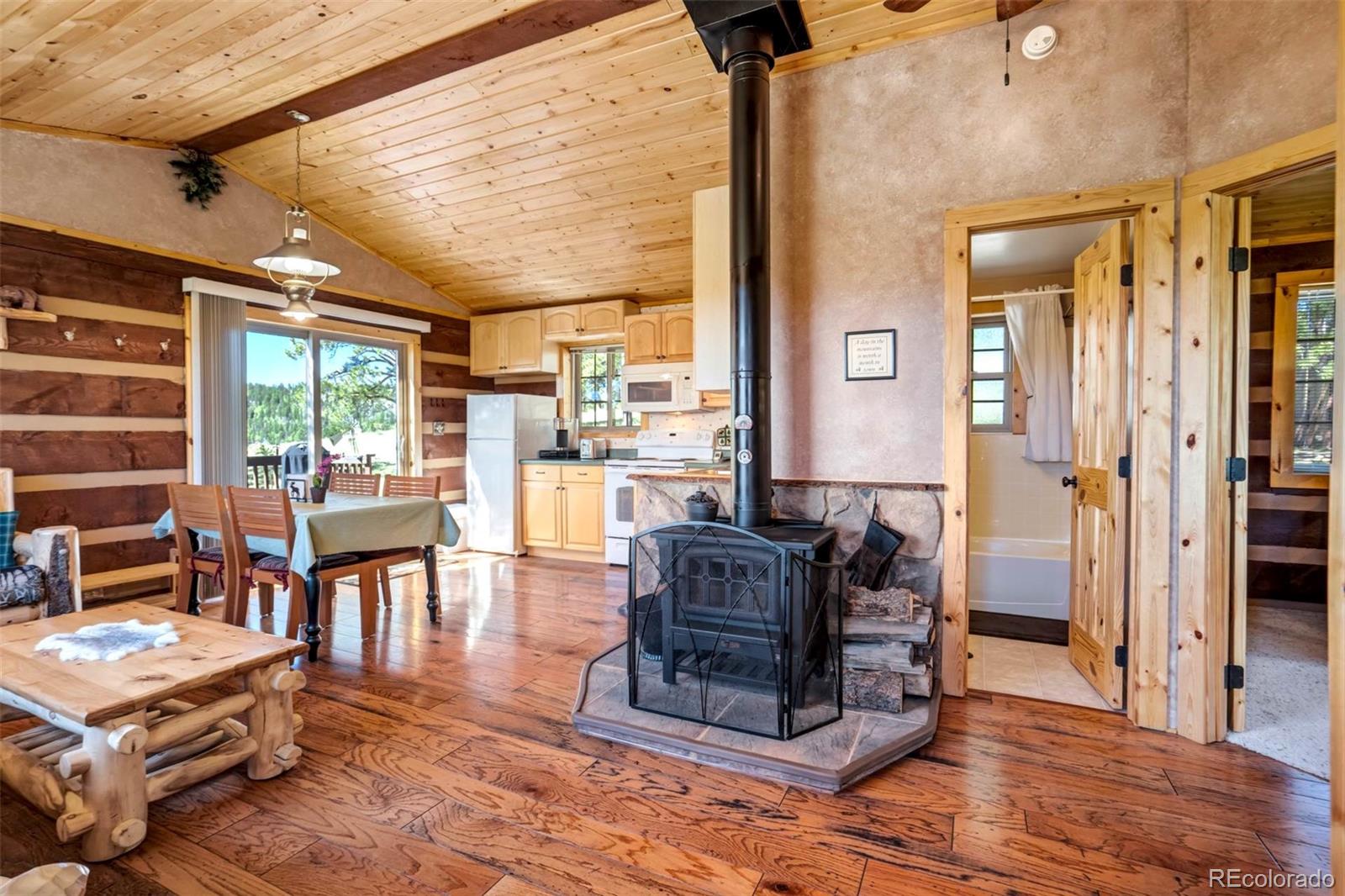 MLS Image #11 for 189  saddle lane,lake george, Colorado