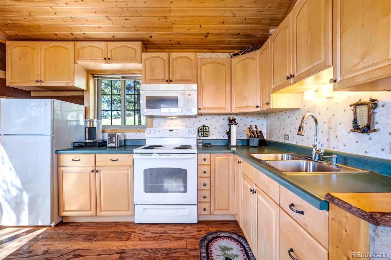 MLS Image #12 for 189  saddle lane,lake george, Colorado